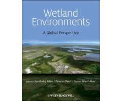 WETLANDS ENVIRONMENTS. A GLOBAL PERSPECTIVE 