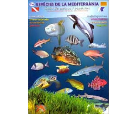 ESPÈCIES DE LA MEDITERRÀNIA. GUIA DE PEIXOS I ESPÈCIES. SUBMARINISME PESCA I SNORKELING
