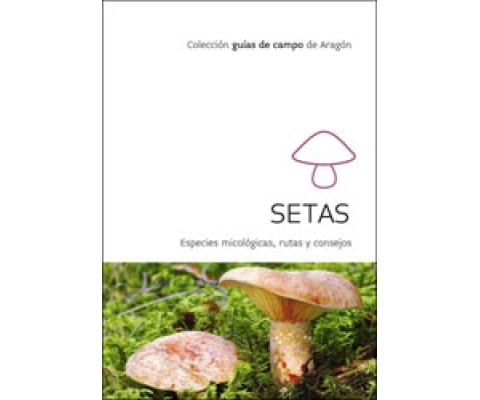 SETAS. ESPECIES MICOLOGICAS, RUTAS Y CONSEJOS