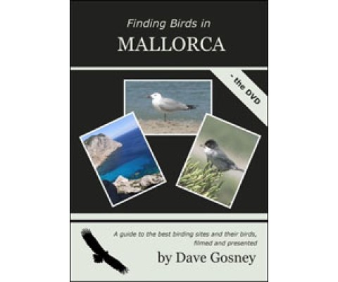 DVD FINDING BIRDS IN MALLORCA