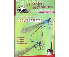 À LA RENCONTRE DES LIBELLULES. DÉCOUVREZ LE MONDE FABULEUX DES ODONATES