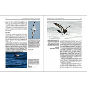 HANDBOOK OF THE BIRDS OF THE WORLD. SPECIAL VOLUME: NEW SPECIES AND GLOBAL INDEX 4