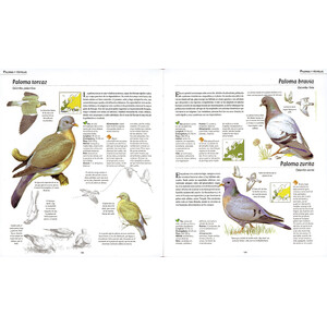 ATLAS ILUSTRADO DE LAS AVES DE ESPAÑA Y EUROPA_1