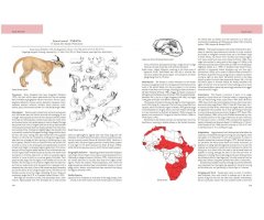 MAMMALS OF AFRICA. VOLUMES 1-6 7