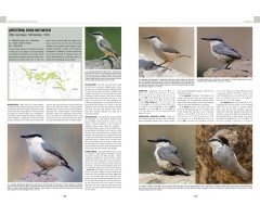 HANDBOOK OF WESTERN PALEARCTIC BIRDS. PASSERINES 6