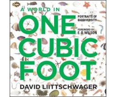 A WORLD IN ONE CUBIC FOOT. PORTRAITS OF BIODIVERSITY