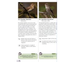 WOODLAND BIRD SONGS & CALLS 3