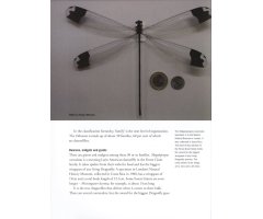 DRAGONFLY 2