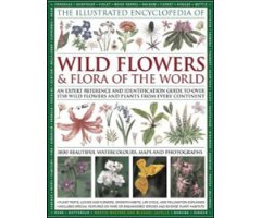 THE ILLUSTRATED ENCYCLOPEDIA OF WILD FLOWERS & FLORA OF THE WORLD