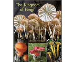 THE KINGDOM OF FUNGI 