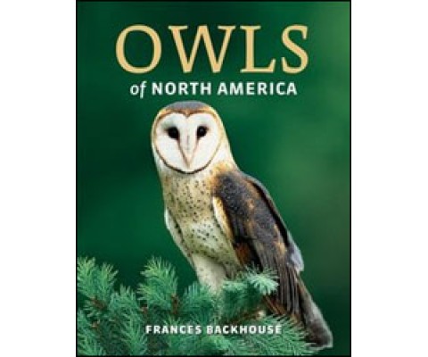 OWLS OF NORTH AMERICA. MYSTERIOUS, SILENT AND FEROCIOUS BIRDS OF PREY