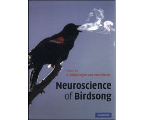NEUROSCIENCE OF BIRDSONG