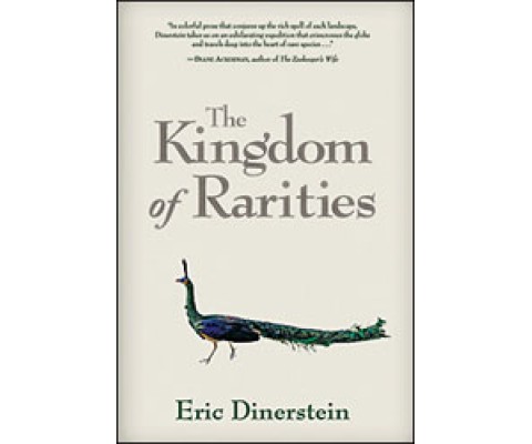 THE KINGDOM OF RARITIES
