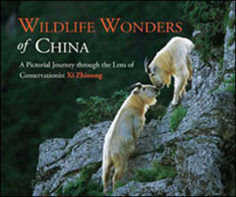 WILDLIFE WONDERS OF CHINA: A PICTORIAL JOURNEY THROUGH THE LENS OF CONSERVATIONIST XI ZHINONG