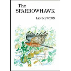 THE SPARROWHAWK