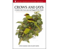 HELM IDENTIFICATION GUIDES. CROWS AND JAYS.  A GUIDE TO THE CROWS, JAYS AND MAGPIES OF THE WORLD