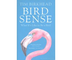 BIRD SENSE. WHAT IT IS LIKE TO BE A BIRD