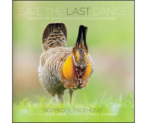 SAVE THE LAST DANCE