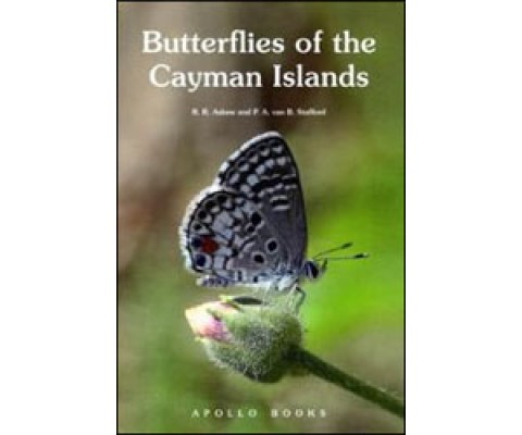 BUTTERFLIES OF THE CAYMAN ISLANDS