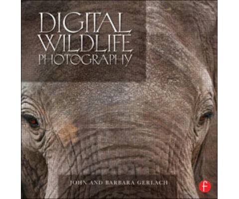 DIGITAL WILDLIFE PHOTOGRAPHY