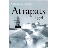 ATRAPATS AL GEL  