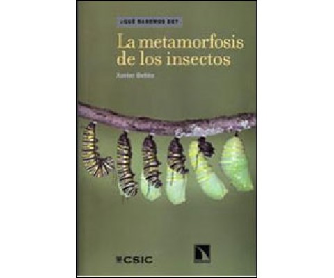 LA METAMORFOSIS DE LOS INSECTOS ¿CÓMO SE TRANSFORMA UNA ORUGA EN MARIPOSA?