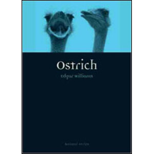 OSTRICH