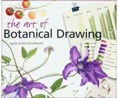 THE ART OF BOTANICAL DRAWING
