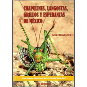 CHAPULINES, LANGOSTAS, GRILLOS Y ESPERANZAS DE MÉXICO. GUÍA FOTOGRÁFICA
