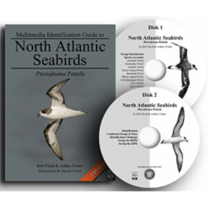 MULTIMEDIA IDENTIFICATION GUIDE TO NORTH ATLANTIC SEABIRDS: PTERODROMA PETRELS