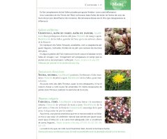 GUIA DEL RECOL·LECTOR. REMEIS I USOS DE LES NOSTRES PLANTES I BOLETS 2