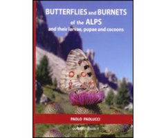BUTTERFLIES AND BURNETS OF THE ALPS AND THEIR LARVAE, PUPAE AND COCOONS 