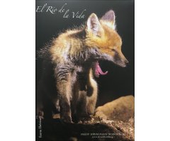 EL RÍO DE LA VIDA