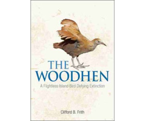 THE WOODHEN. A FLIGHTLESS ISLAND BIRD DEFYING EXTINCTION