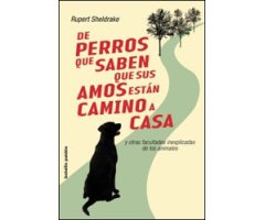 DE PERROS QUE SABEN QUE SUS DUEÑOS ESTÁN CAMINO DE CASA