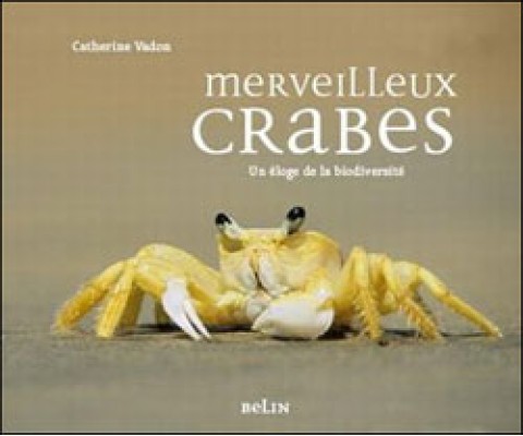 MERVEILLEUX CRABES