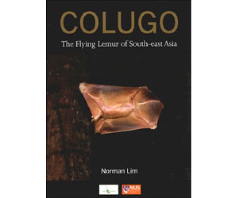 COLUGO. THE FLYING LEMUR OF SOUTH-EAST ASIA