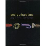 POLYCHAETES