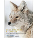 YELLOWSTONE WILDLIFE. ECOLOGY AND NATURAL HISTORY OF THE GREATER YELLOWSTONE ECOSYSTEM
