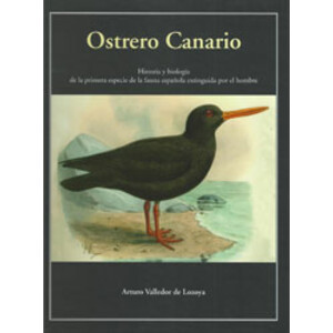 OSTRERO CANARIO. HISTORIA Y BIOLOGÍA DE LA PRIMERA ESPECIE DE LA FAUNA ESPAÑOLA EXTINGUIDA POR EL HOMBRE