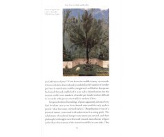 PINE_1