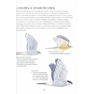 BIRDS ID INSIGHTS. IDENTIFYING THE MORE DIFFICULT BIRDS OF BRITAIN AND NORTH-WEST EUROPE 3