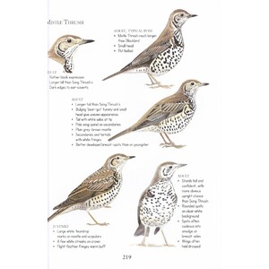 BIRDS ID INSIGHTS. IDENTIFYING THE MORE DIFFICULT BIRDS OF BRITAIN AND NORTH-WEST EUROPE 5
