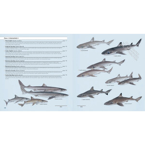 SHARKS OF THE WORLD. A COMPLETE GUIDE_1