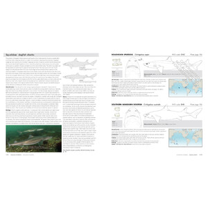 SHARKS OF THE WORLD. A COMPLETE GUIDE 3