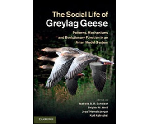 THE SOCIAL LIFE OF GREYLAG GEESE