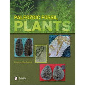 PALEOZOIC FOSSIL PLANTS