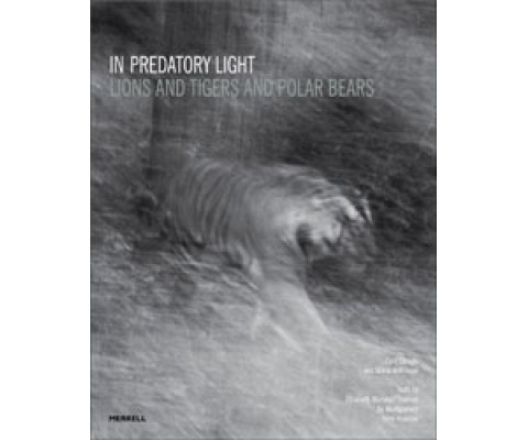 IN PREDATORY LIGHT: LIONS AND TIGERS AND POLAR BEARS
