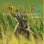 BRITISH WILDLIFE PHOTOGRAPHY AWARDS. COLLECTION 4