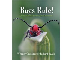 BUGS RULE! AN INTRODUCTION TO THE WORLD OF INSECTS